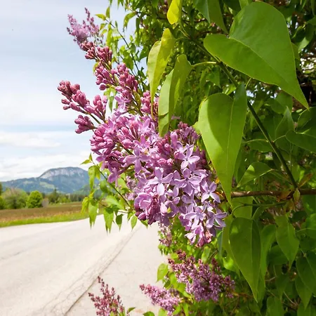 Brixen Valley Bus Access, Cleaning Included